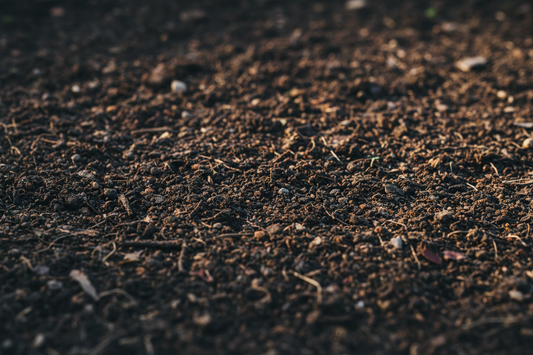 Garden Soil, Explained Simply