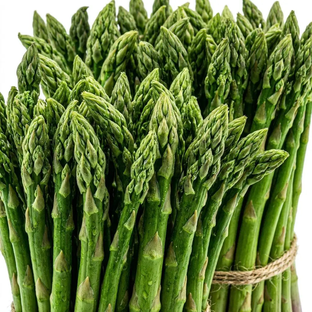 100 Mary Washington Asparagus Seeds - Perennial Heirloom Vegetable Seeds - Grow Tender, Delicious Asparagus Spears Year after Year
