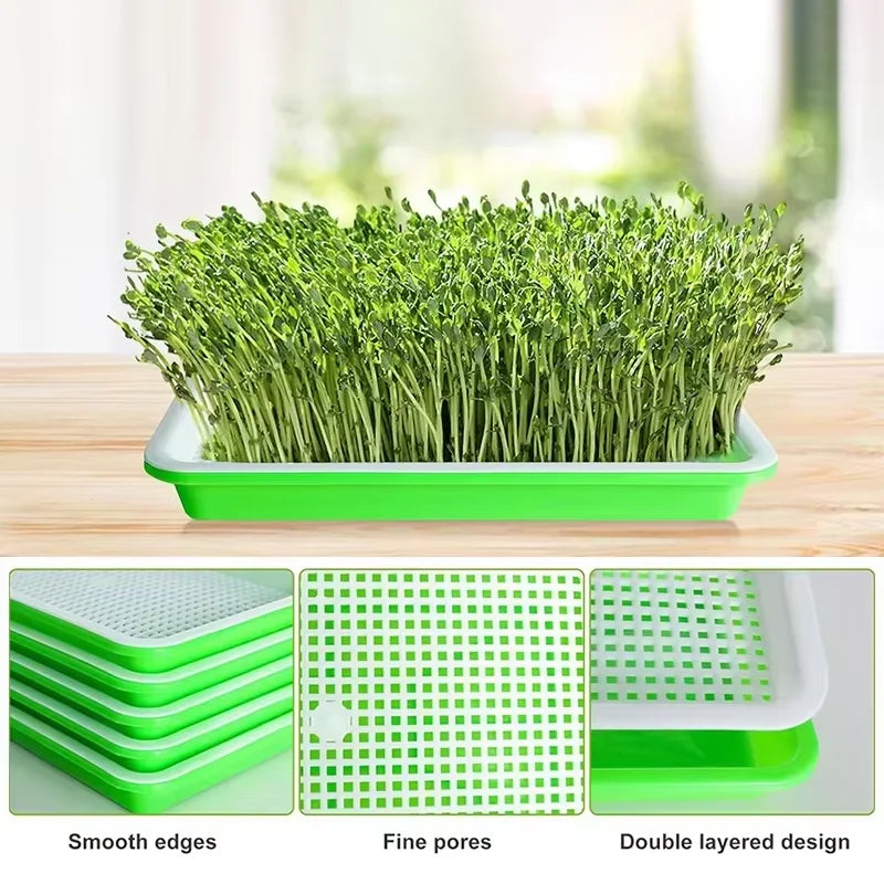 Hydroponic Seedling Trays for Bean Sprouts and Soil-Less Vegetable Cultivation Home Germination Pots for Sprouting Greens