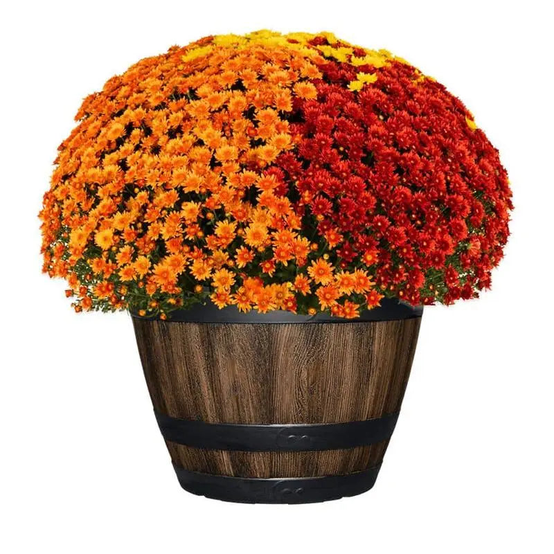 20 In. Reedley Large Kentucky Walnut Brown Resin Wine Barrel Planter (20 In. D X 14.5 In. H)
