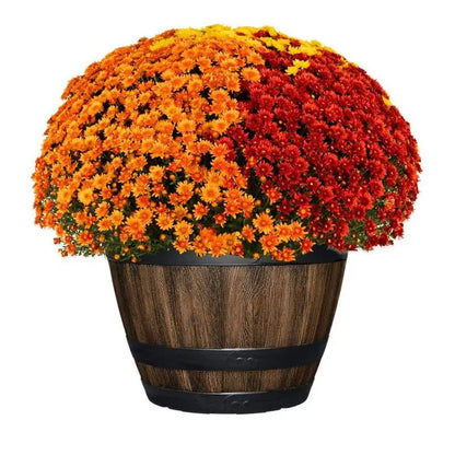 20 In. Reedley Large Kentucky Walnut Brown Resin Wine Barrel Planter (20 In. D X 14.5 In. H)