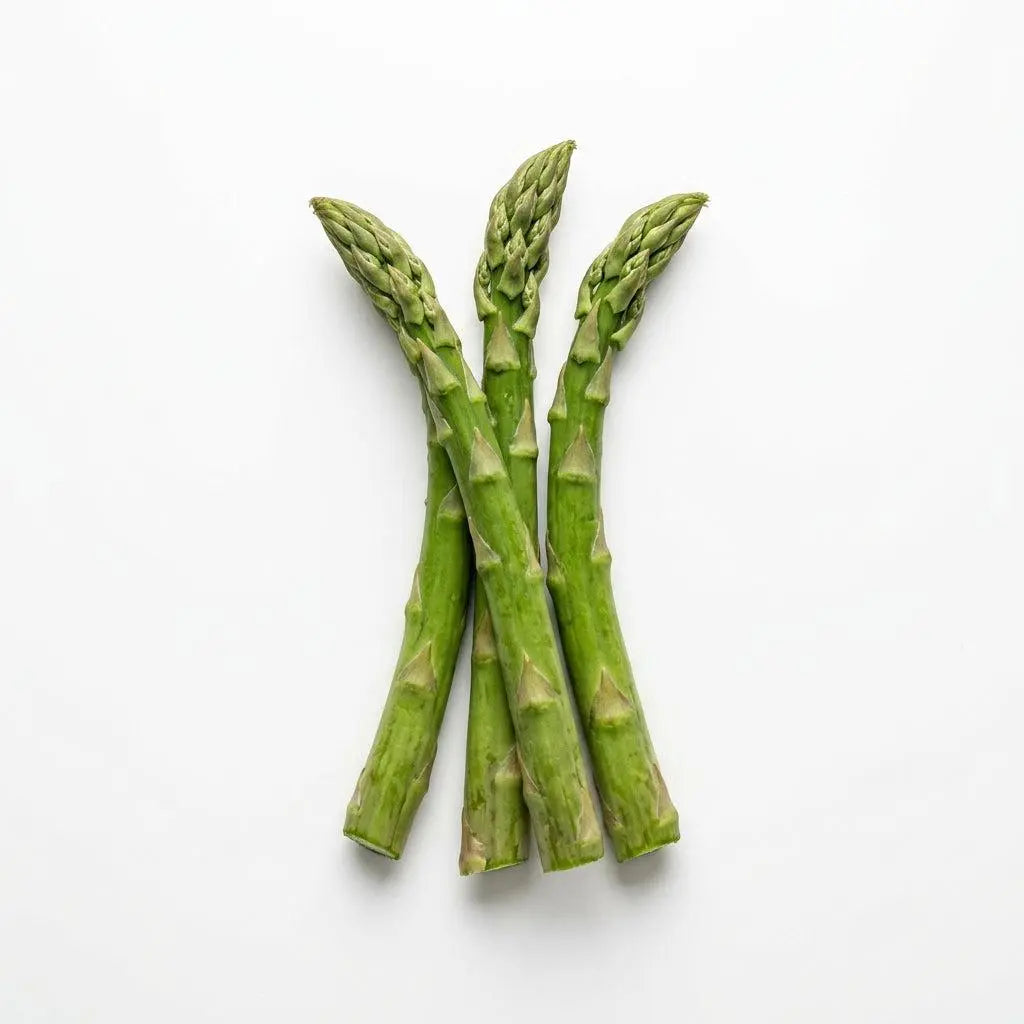 100 Mary Washington Asparagus Seeds - Perennial Heirloom Vegetable Seeds - Grow Tender, Delicious Asparagus Spears Year after Year