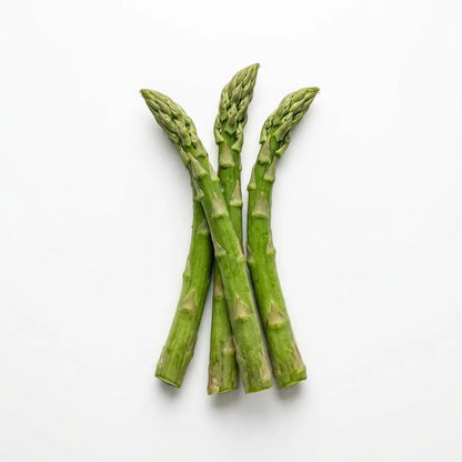 100 Mary Washington Asparagus Seeds - Perennial Heirloom Vegetable Seeds - Grow Tender, Delicious Asparagus Spears Year after Year