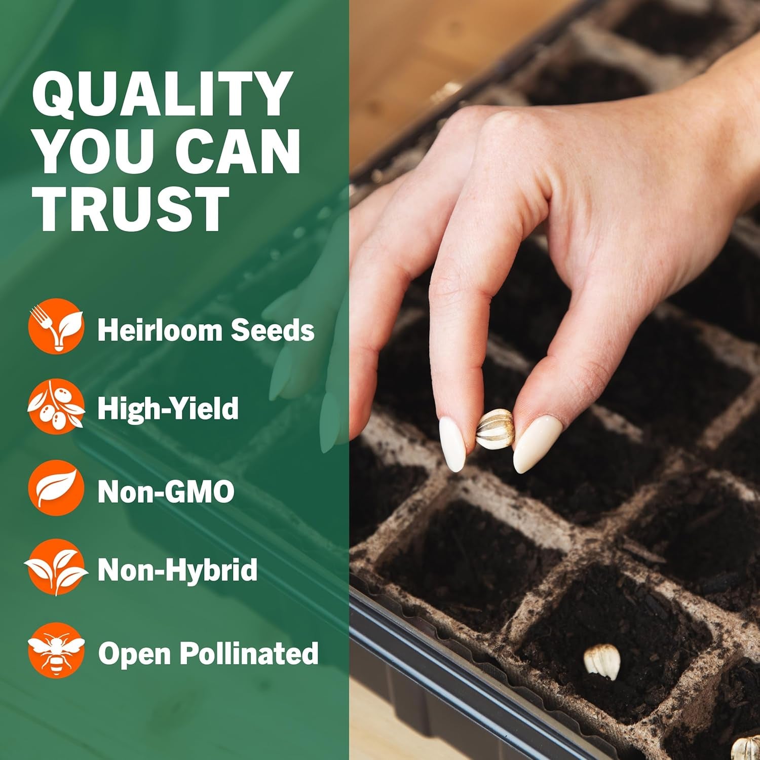 |15,000 Heirloom Seeds | 32 Seed Types | Survival Seeds | 2026 Season | Non GMO Vegetable and Fruit Seeds | Planting Outdoor & Indoor Garden