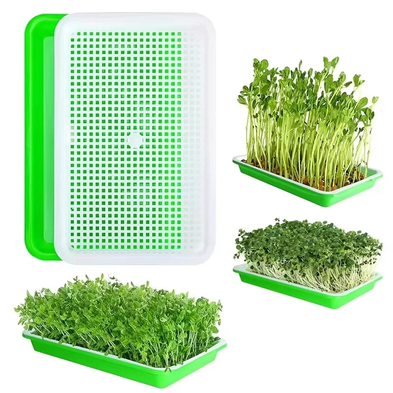 Hydroponic Seedling Trays for Bean Sprouts and Soil-Less Vegetable Cultivation Home Germination Pots for Sprouting Greens