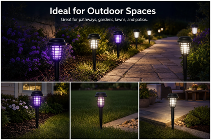 Garden Path Night Scene