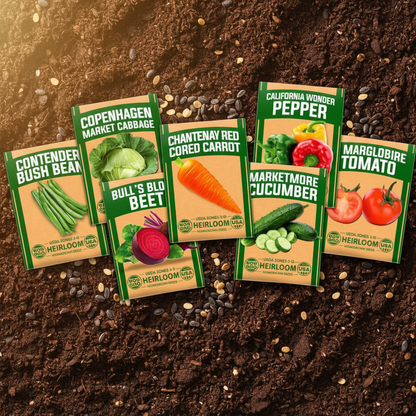 Seed Packets Flat Lay